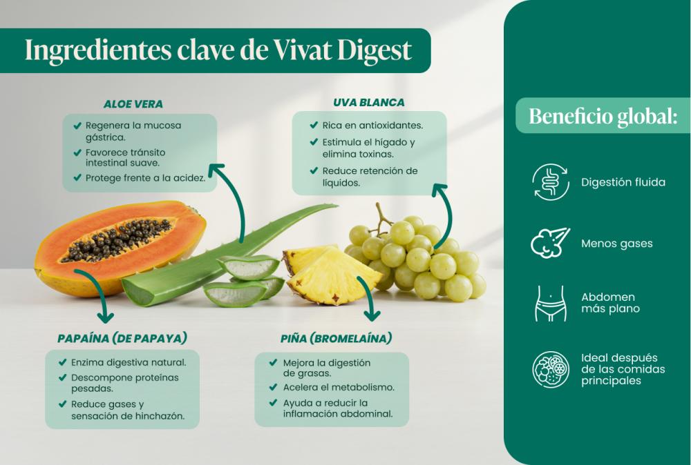 Ingredientes Vivat Digest
