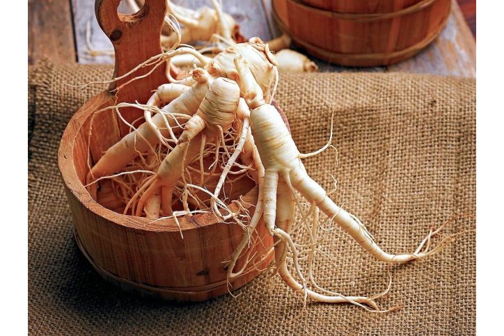 ¿Qué es el ginseng y para qué sirve?