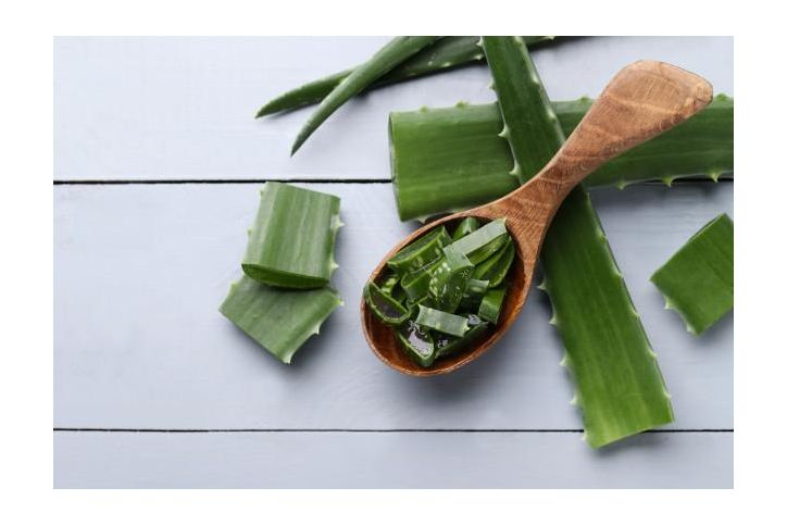 10 usos caseros del aloe vera