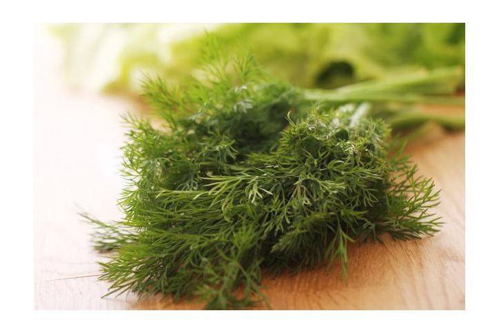 5 principales beneficios de consumir hinojo