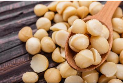 nueces de macadamia