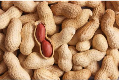 Cacahuete una legumbre o un fruto seco