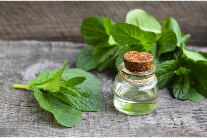 4 diferencias clave entre la menta y la hierbabuena