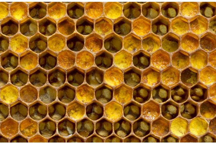 ¿Qué es la jalea real y para qué sirve?