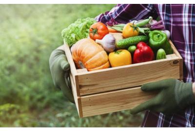  Comer verduras crudas y sus beneficios