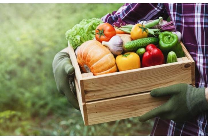  Comer verduras crudas y sus beneficios