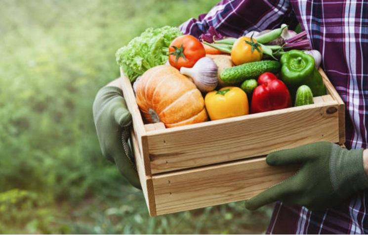  Comer verduras crudas y sus beneficios