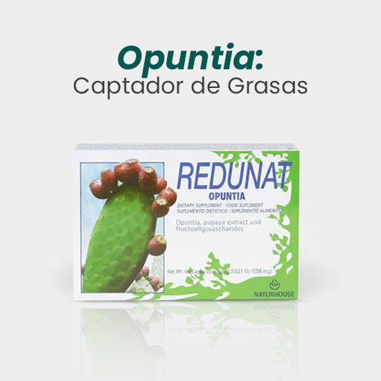 Suplemento de papaya (Cápsulas) - Redunat