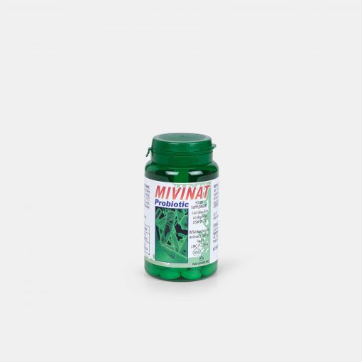 Remedio natural para el intestino - Mivinat